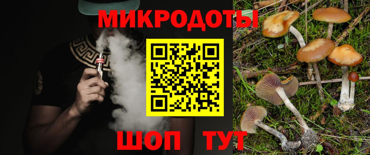 Псилоцибиновые грибы Psilocybine cubensis Новый Уренгой