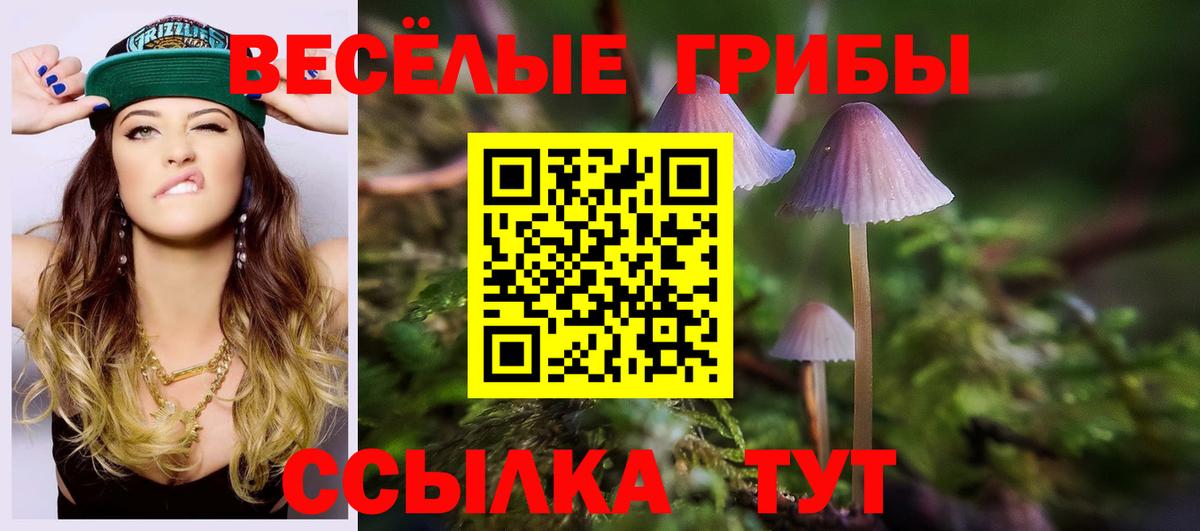хочу наркоту  Псилоцибиновые грибы MAGIC MUSHROOMS  Вход с VPN  Новый Уренгой  Псилоцибиновые грибы Cubensis 